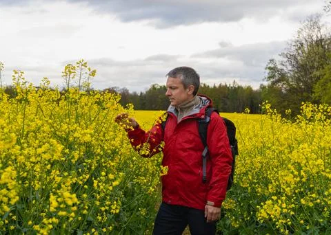 Aduld man in red jacket standing in yellow rapeseed field, gently touching bl Stock Photos