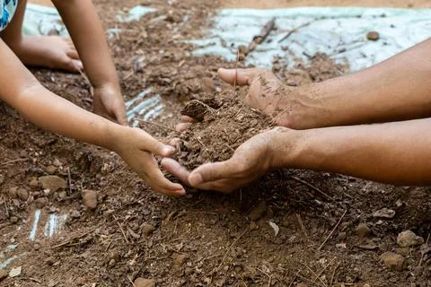 Adult and child bonding while preparing clean garden soil with save earth t.. Stock Photos