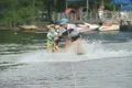 Adult and child waterskiing Footage