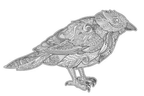 Adult coloring book page with little tit Stock Illustration