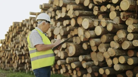 Adult forestry engineer in white helmet with paper tablet in his hands next to Stock Footage 242921953