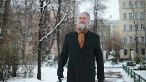 Adult gray-haired solid man with a beard walks along the boulevard on a winter Stock Footage 146409185