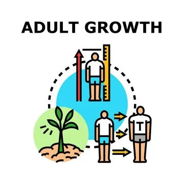 Adult growth process evolution development concept Stock Illustration