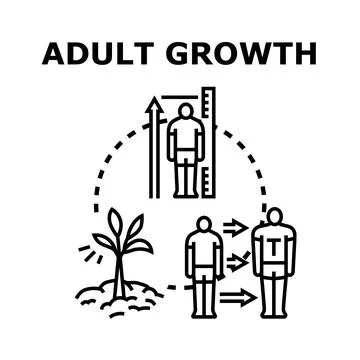 Adult growth process evolution development concept Stock Illustration