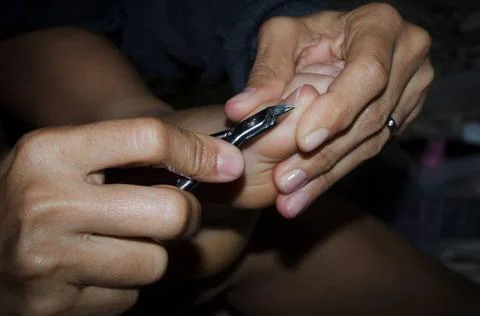  Adult hands using steel clippers to cut a child s toenails. care and hygi... Stock Photos