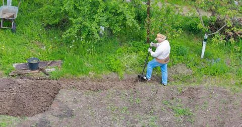 An adult man digs up his plot of land in the country for sowing potatoes. Stockfoto's