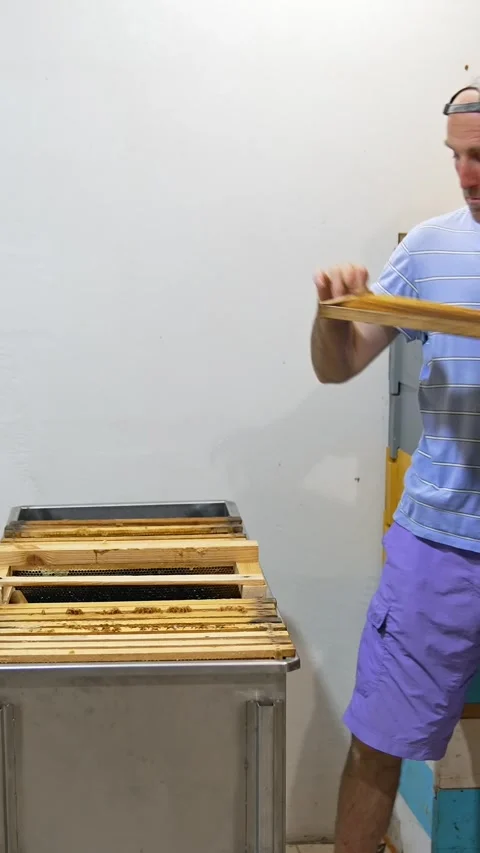 Adult man takes the frames from hive into a big box. Beekeeper preparing the Stock Footage 342248138