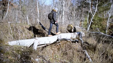 Adult man walks on fallen tree Stock Footage 67177853
