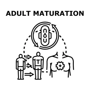 Adult maturation developing process with hormonal changes Stock Illustration