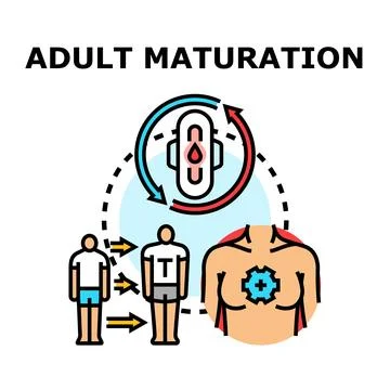 Adult maturation developing process with hormonal changes Stock Illustration