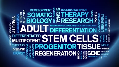 Adult Stem Cells animated word cloud,animation kinetic typography seamless loop Stock Footage 327588053