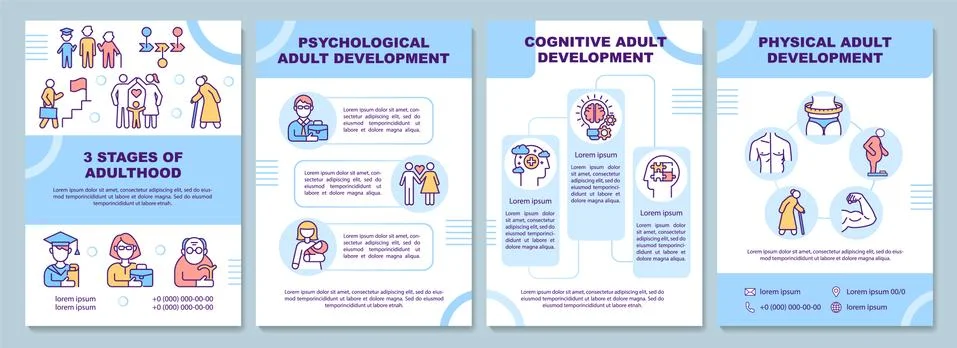 Adulthood development brochure template Stock Illustration