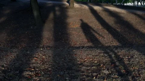 Adult's shadow is jumping high in the air ( slow-motion) Video stock 162977813