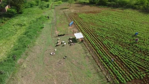 Adustina Interior of Bahia Stock Footage 246362928