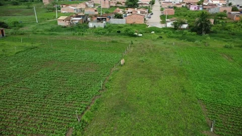 Adustina Interior of Bahia Stock Footage 246363094