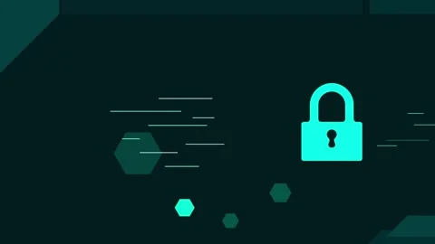 Advance cyber security safety lock for information and data Stock Footage 306000098