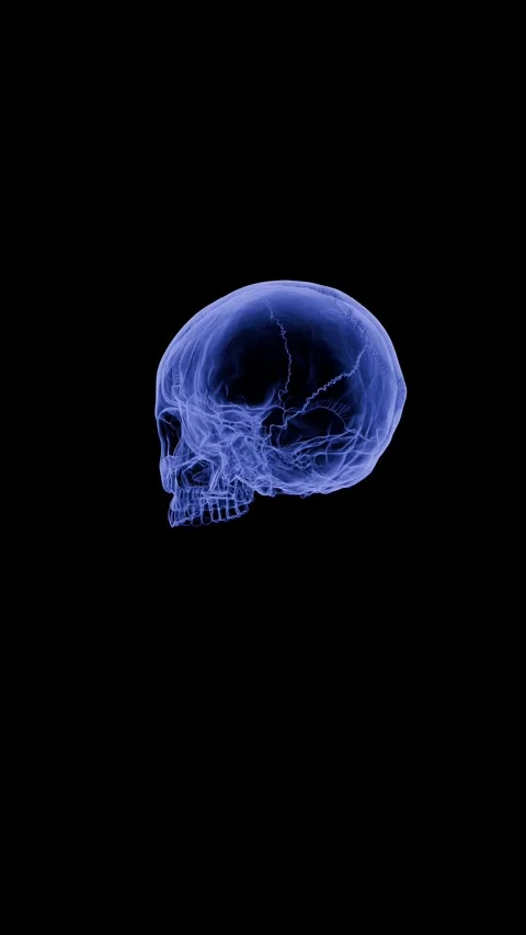 Advanced 3D skull model rotating in a digital medical environment highlights hum 스톡 동영상 336859318