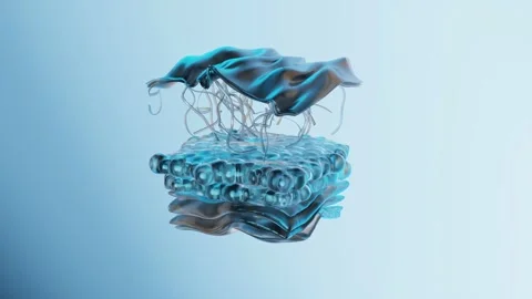 Advanced 3D Visualization of the Human Skin Epidermis Hexagonal Cellular Ne.. Stock Footage 335506949