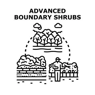Advanced boundary shrubs landscaping concept vector Stock Illustration