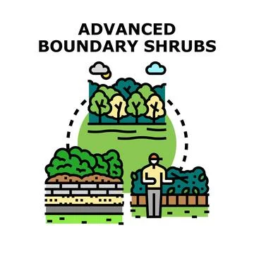 Advanced boundary shrubs landscaping concept vector Stock Illustration