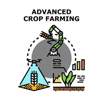 Advanced crop farming combining drone and robotic technology Stock Illustration