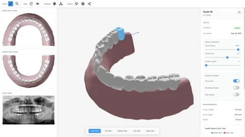 Advanced Dental Software System Stock Footage 329300180
