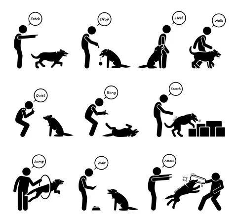 Advanced dog commands and behavioral training icons set. Vector illustrations Stock Illustration