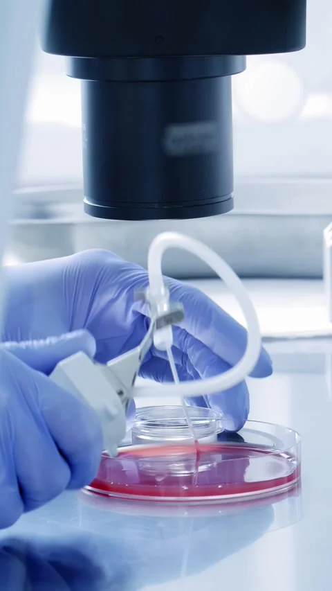 Advanced Laboratory Techniques Utilized in Innovative Biotechnology Research Stock Footage 313732088