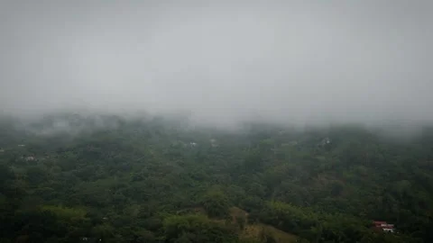Advancing Toward Dimly Obscured Uplands Through Thickening Gloom Video stock 316798955