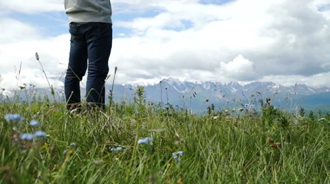 Adventure man with gps device or phone outdoors in wilderness exploring Stock Footage 65483329