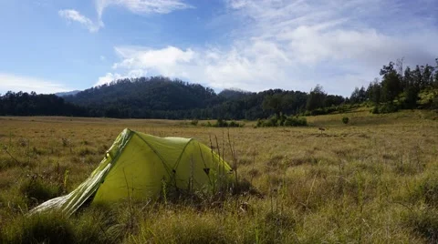 Adventure with nature Video stock 67267800