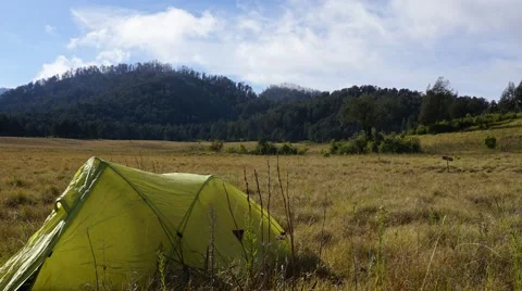 Adventure with nature Stock Footage 67505453