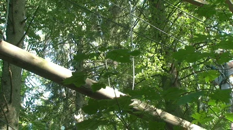 Adventure parc 30 Stock Footage 813170