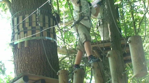 Adventure parc 37 Stock Footage 813457