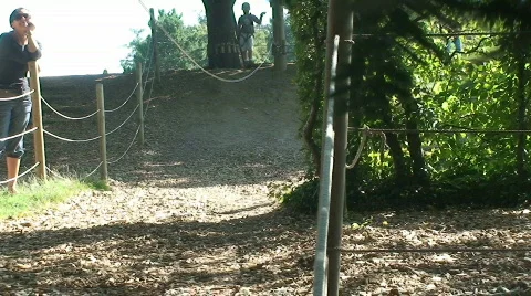 Adventure parc 40 Stock Footage 813541