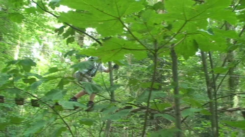 Adventure park 7 Stock Footage 811849