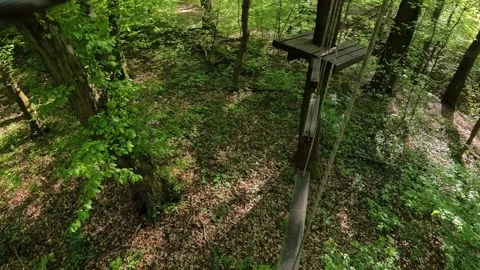 Adventure park ropes course Stock Footage 310735580