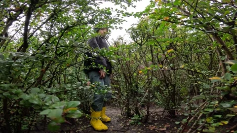Adventure through the Thorny Thicket Exploring Nature with Children Stock Footage 254081106