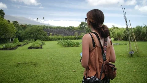 Adventurer 71 Video stock 155495031