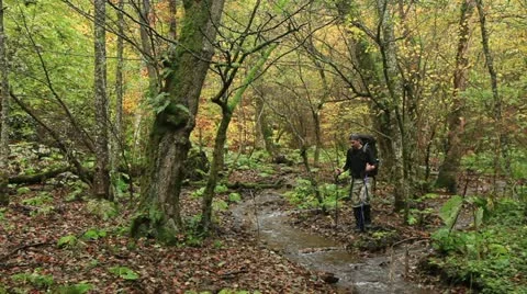 Adventurer in the forest Stock Footage 12539782