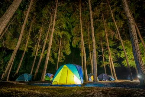 Adventures Camping tourism and tent under the view pine forest landscape near Stock Photos