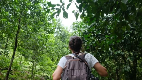 Adventurous backpacker as she embarks on a journey through lush jungles Stock Footage 252036059