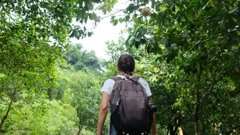 Adventurous backpacker as she embarks on a journey through lush jungles Stock Footage 252036060