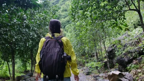 Adventurous backpacker as she embarks on a journey through lush jungles Stock Footage 252036128