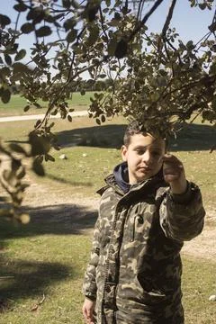 Adventurous boy observing tree leaves. Stock Photos