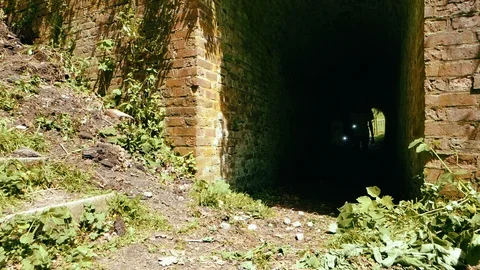 Adventurous boys exploring Stock Footage 103111643