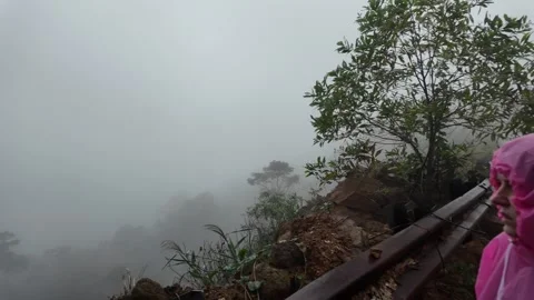 Adventurous Explorer in Misty Mountains Stock Footage 284147459