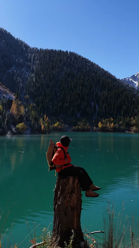 Adventurous hiker resting on tree stump admiring alpine Issyk's lake, Kazakhstan 库存影片 344588357