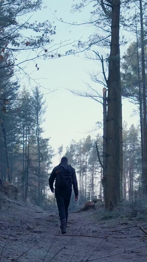 Adventurous man with backpack hiking in a forest Video stock 327114512
