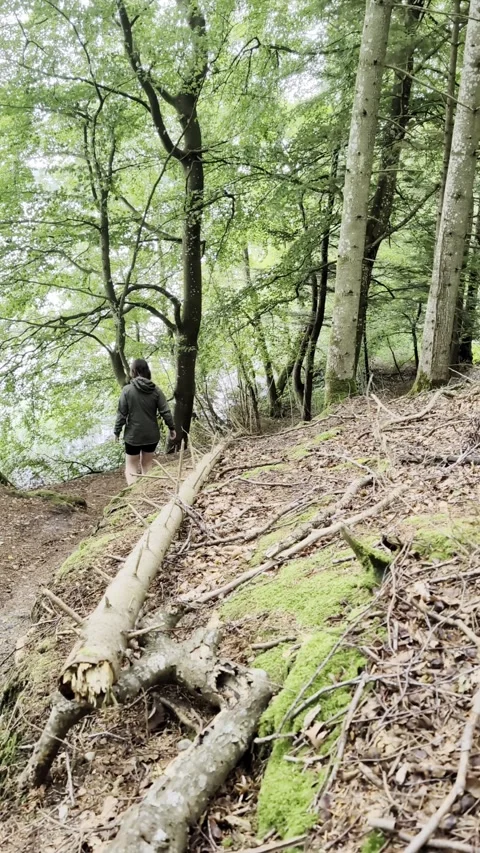 Adventurous man exploring green forest path during a relaxing hike Video stock 335636893